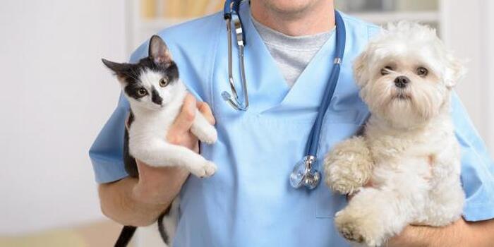 Alternative Veterinarian Medicine – Dr. Robert E. Woods